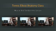 Tennis Elbow Anatomy (Vid. Prev. Img.)